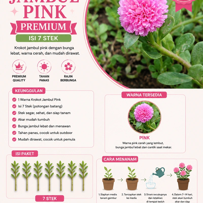 ?? Bunga Krokot Jambul Pink Premium – Isi 7 Stek ??Segar & Siap Tanam